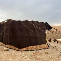 سیاه چادر کمپینگ