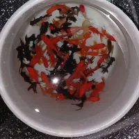 ماهی قرمز  شب عید