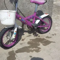 دو عدد دوچرخه ۱۲