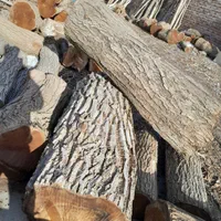 خرید انواع چوب خوشک ودرخت