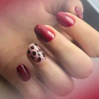 مدل برای عکاسی خدمات ژلیش و لمینت|خدمات آرایشگری و زیبایی|سبزوار, امیر کبیر|دیوار