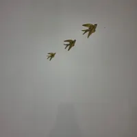 پرنده برنز