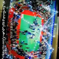 داربست دورمحوطه استیج نورپردازی چمن
