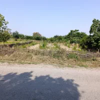 زمین کشاورزی