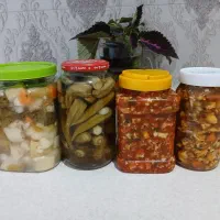 ترشی