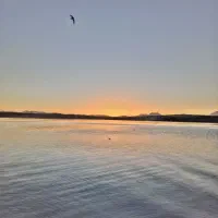 همخونه(خونه ندارم) پرستار هستم