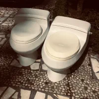 توالت فرنگی