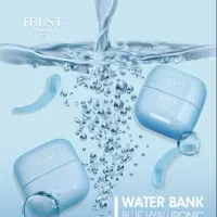 کار در منزل بدون سرمایه برای خانم ها