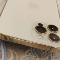 12پرومکس گلد درجه یک