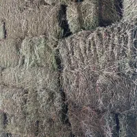 یونجه قالبی و خرمنکوب  شده چین چهار پر گل