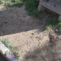 کارت سوخت گم شده