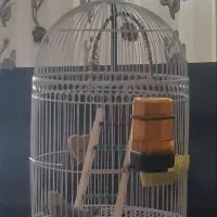 قفس پرنده همراه باپایه
