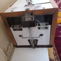 یگ جفت  لوتینو    نر ۱۲کلام  صحبت می کنند|پرنده|مشهد, خواجه ربیع|دیوار