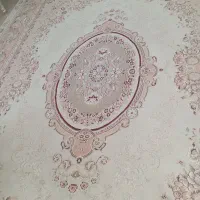 فرش|فرش|طرقبه, |دیوار