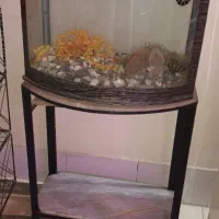 آکواریوم شیشه خم (محدب ) همراه با پایه فلزی|ماهی|تهران, افسریه شمالی|دیوار