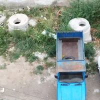 باربری سیامک