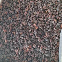 کشمش تاکستان کیفیت متوسط