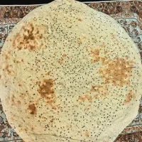 استخدام شاطر