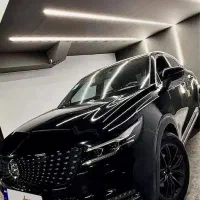 دیگنیتی مدل ۱۴۰۱ تومارون|خودرو سواری و وانت|مشهد, حرم مطهر رضوی|دیوار