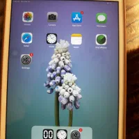 ایپد مینی 2 رنگ نقره ای