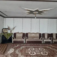 نقاشی ساختمان وطرح کاغذدیواری|خدمات پیشه و مهارت|سیرجان, |دیوار