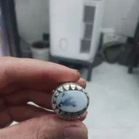 انگشتر شجر با نوشته طبیعی علی