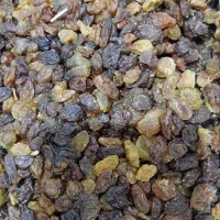 انواع کشمش و خرما برای ابگیری