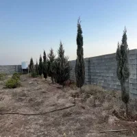 فروش باغشهری ۱۰۰۰ متری