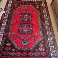 قالی دست بافت|فرش|شیروان (خراسان), |دیوار