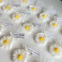 گیفت بابونه گیفت عقد گیفت عروسی|صنایع دستی و سایر لوازم تزئینی|بانه, |دیوار