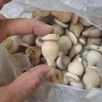 خراطی بالای درب بانکه|عمده‌فروشی|تهران, ائمه اطهار|دیوار