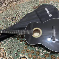 گیتار دیاموند