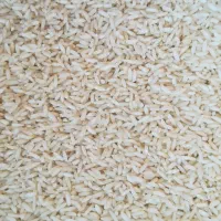 برنج خوش پخت علی کاظمی|خوردنی و آشامیدنی|بروجرد, |دیوار