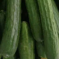 خیاشوری