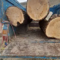 خرید چوب قطع درخت و هرس