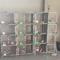 قفس بزرگ|لوازم جانبی حیوانات|کازرون, |دیوار