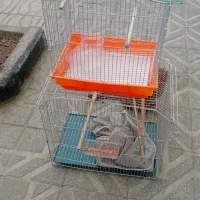 دوعدد قفس بزرگ و کوچک با وسایل