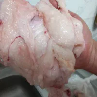 جان یاغی گوسفندی تازه درهادیشهر