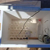 دستگاه جوجه کشی|لوازم جانبی حیوانات|کرمان, |دیوار