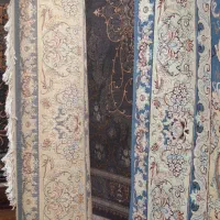 گل ریزفرش ها۱۲متری فقط جفت|فرش|گنبد کاووس, |دیوار