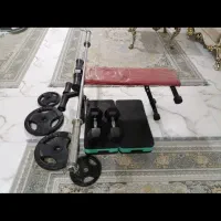 دمبل-وزنه هالتر-تخته استپ-میز بدنسازی-میله هالتر