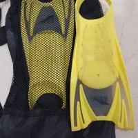 فین شنا