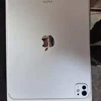 IPAD PRO M4 2024|تبلت|شیراز, ستارخان|دیوار