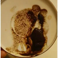 فال دقیق با ۱۲سال سابقه|خدمات پذیرایی، مراسم|اهواز, زیتون کارمندی|دیوار