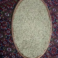 عدس ارگانیک