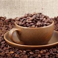 پودرمخلوط قهوه گانودرما و پودر شکلات