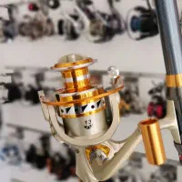 چرخ ماهیگیری