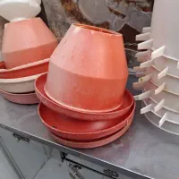 وسایل پرنده و مرغ