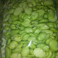 باقالا باقلا سبز تازه به شرط