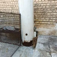 آب گرم کن|آبگرمکن، پکیج، شوفاژ|شوشتر, |دیوار